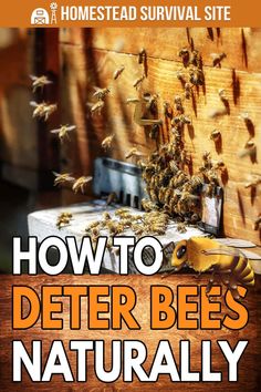 a beehive with bees on it and the words how to better bees naturally