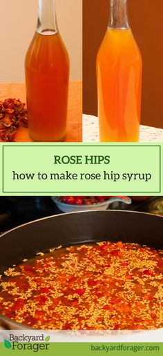 rose hips how to make rose hip syrup