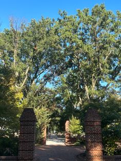 an open gate leading into a park with trees on either side and blue sky in the background