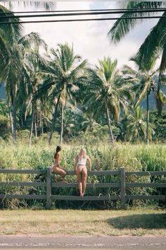 vintage summer #film #palmtrees #summer Dream Life Beach, Costa Rica Film Photography, Summer On Film Aesthetic, Hawaii Film Photography, Hawaii On Film, Vintage Hawaii Aesthetic, Hawaii Instagram Pictures, Film Photo Ideas