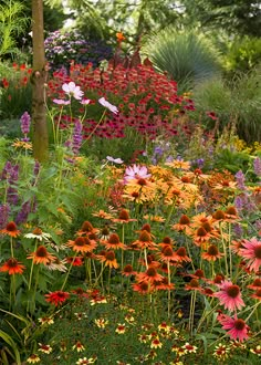 a garden filled with lots of colorful flowers