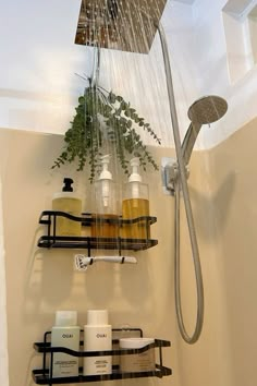 a shower head with soaps, lotion and plants hanging from it's side