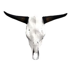 an animal's skull with long horns is shown against a white background and has no image on it