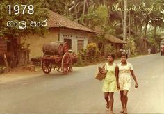 two women walking down the street in front of a horse drawn carriage