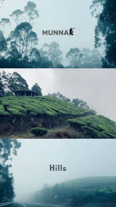 three different views of the hills and trees