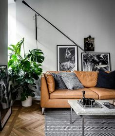 a living room filled with furniture and lots of plants