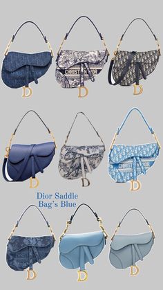 six different types of purses with the names dior saddle bag's blue