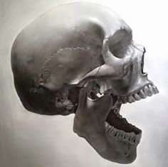 a drawing of a human skull with its mouth open