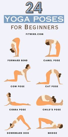 the yoga poses for beginners