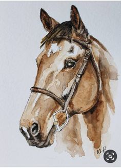 a watercolor painting of a horse's head with bridle on it