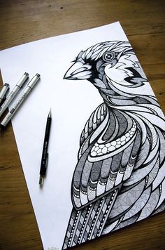 a black and white drawing of a bird on paper