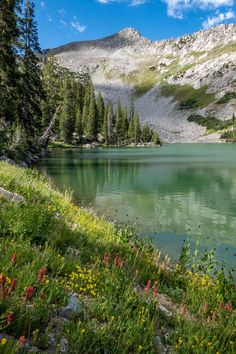 a mountain lake surrounded by trees and wildflowers