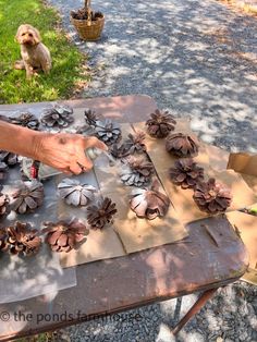 a person cutting up pine cones on top of a table with a dog in the background