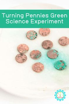 a white plate topped with lots of coins and the words turning pennies green science experiment