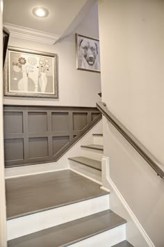 the stairs in this house have been painted gray and white with pictures on the wall above them