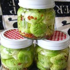 four jars filled with pickled cabbages on top of a checkered table cloth