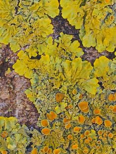 an abstract painting with yellow and brown leaves