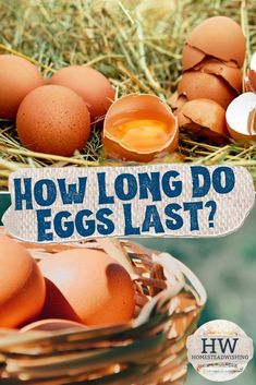 eggs in a basket with the words how long do eggs last?