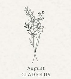 a drawing of flowers with the words august gladiolus written in black and white