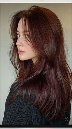 Tones Of Brown Hair Shades, Brunette With Red Tint, Short Dark Brown Hair Styles, Hair Shades Of Brown, Slightly Red Brown Hair, Fall Auburn Hair Color, Auburn Dark Hair, Brownie Brown Hair, Cool Tone Medium Brown Hair