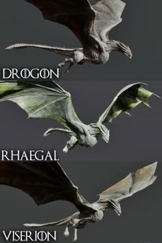 three different types of dragon wings