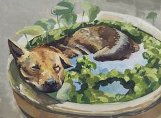 a painting of a dog laying in a potted plant