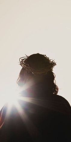 the back of a person's head with sun shining through it and their hair