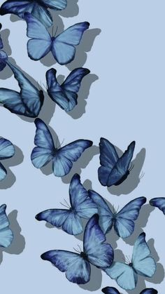 many blue butterflies flying in the air