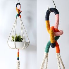 two different colored ropes holding a plant in a white pot and hanging from the ceiling