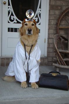 a dog wearing a doctor's coat sitting next to a suitcase