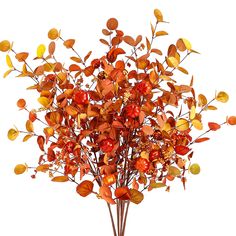 a vase filled with lots of red and yellow leaves