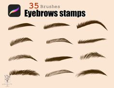 a set of different types of eyebrows with long hair on top and bottom, all drawn in