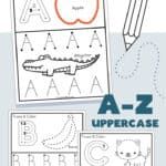 a to z uppercase worksheet with an apple and alphabets on it