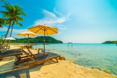 lounge chairs and umbrellas are on the beach near the water, with palm trees in the background