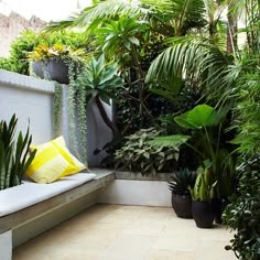 an outdoor bench surrounded by plants and greenery