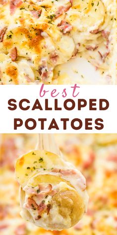 the best scalloped potatoes recipe with ham and cheese