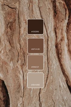 an image of the bark of a tree that is brown and has different colors on it