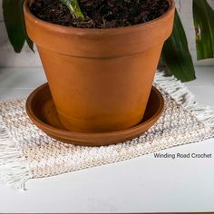 a potted plant sitting on top of a white table cloth next to a green plant