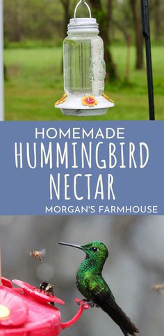 a hummingbird is perched on a bird feeder with the text homemade hummingbird nectar morgan's farmhouse