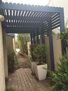 an outdoor walkway with potted plants on either side and a pergolated roof