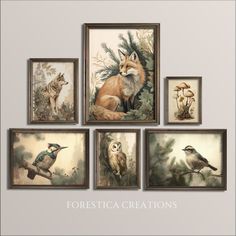 four framed pictures with animals and plants on the wall in front of a gray background