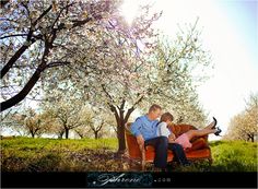 a man and woman sitting on an orange chair in front of a blooming tree