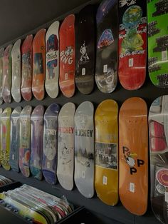 there are many skateboards on the wall in this store, all different colors and sizes