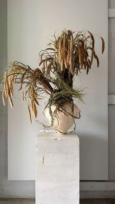 a plant in a vase sitting on top of a white block