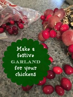 some grapes and other fruits on a counter top with the words make a festive garland for your chickens