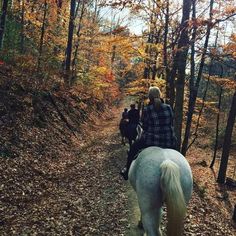 three people riding horses on a trail in the woods with fall foliage and trees around them