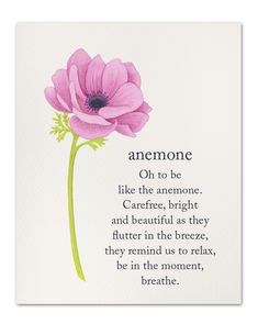 a pink flower with the words,'someone on to be like the mementoe carefree, bright and beautiful as they