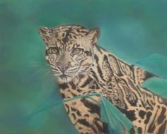 a pastel drawing of a cheetah with feathers on its tail and head