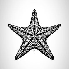 a black and white drawing of a starfish