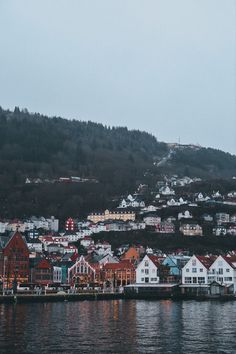 a town on the shore of a body of water with houses and mountains in the background